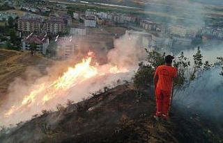 Bingöl’de 5 dönümlük alan yandı