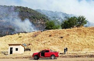 Bingöl’de orman  yangını söndürüldü