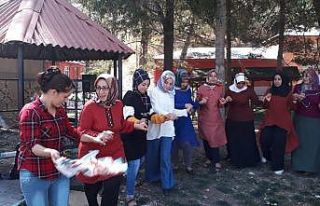Bitlis Belediyesinden kadınlar için gezi etkinliği