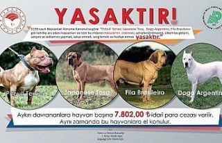 Bu hayvanların ülkeye girişi, satışı ve sahiplenilmesi...