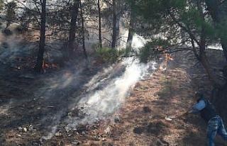 Buldan’da 2,5 hektarlık ormanlık alan yandı