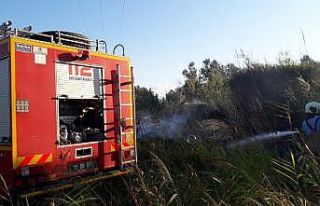 Burhaniye’de sazlık yangını söndürüldü