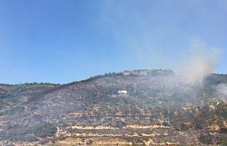 Bursa’da korkutan orman yangını