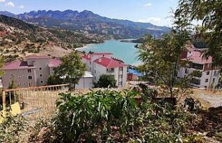 Büyükşehir’in Ata tohumları Tunceli’de yeşerdi