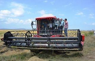 Çeltik hasat töreni yapıldı