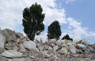 Çevreye uydudan koruma kalkanı