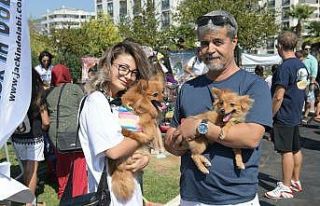 Çiğli’de 2. Pati Dostları Festivali