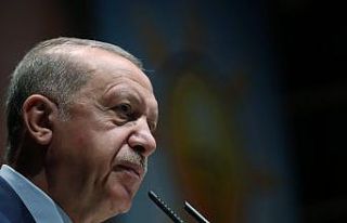 Cumhurbaşkanı Erdoğan: "Ülkemize yönelik...