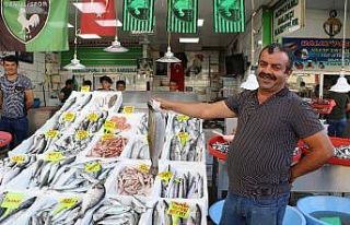 Denizli’de balık fiyatları uygun olunca ilgi de...