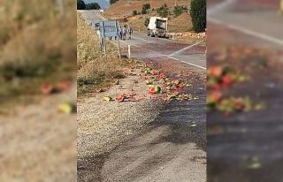 Denizli’de karpuz yüklü kamyonet devrildi: 2 yaralı