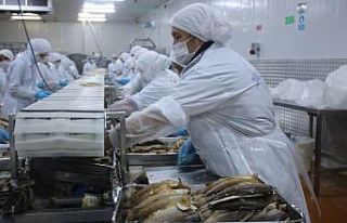 Denizli’den dünyanın 80 ülkesine yıllık 6 bin...