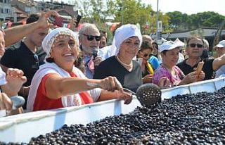 Dev zeytin tabağı rekorlar kitabına girdi