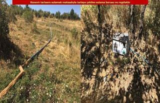 Diyarbakır’da teröre büyük darbe: 6 milyon kök...