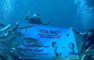 DMD’ye katkı denizaltından geldi