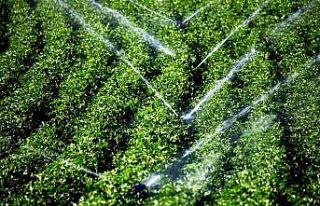 Ege’nin sularına elektronik takip