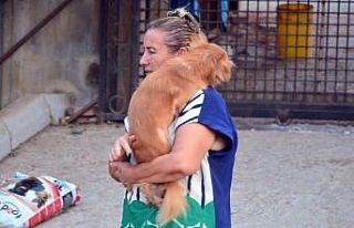 Engelli sokak hayvanları onlara emanet