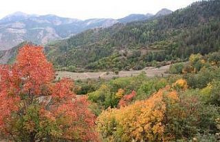Erzurum’un köyleri sonbaharda görenleri hayran...