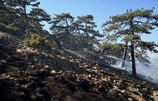Eskişehir’de orman yangını