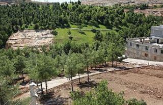 Eyyübiye’de 20 bin metrekarelik yeşil alan projesi