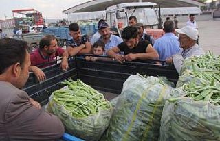 Fasulye piyasası altın çağını yaşıyor