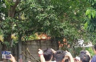 Filipinler’de küçük uçak düştü: 7 ölü