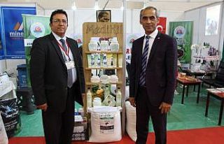 Fındıkta aflatoksin ve küllemeye doğal çözüm:...