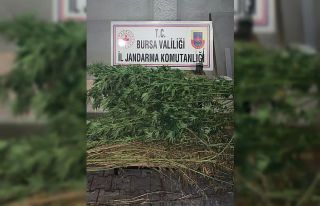 Fotokapanla zehir tacirlerini yakaladılar