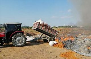 Gaziantep ’te 25 ton bozulmuş domates ele geçirildi