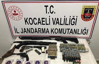 Gebze’de ormanlık alanda 474 kök kenevir ele geçirildi