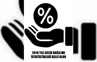 Gelir dağılımının 2018 yılı istatistikleri...