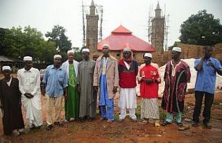 Gine’de ananas üretiminde yüzde 20 rekolte artışı...