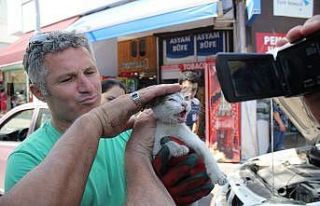 Girdiği otomobilin motorunda 40 kilometre yolculuk...