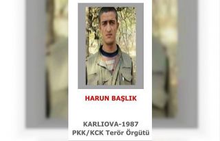 Gri listedeki terörist, MİT ve Jandarmanın istihbaratıyla...