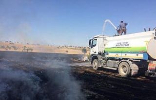 Günyüzü’nde çıkan yangın paniğe neden oldu.