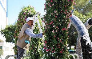 Haliliye’de parklar peyzajla süsleniyor