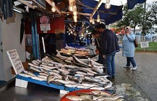 Hamsi 3 günde fiyatını 5’e katladı