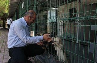 Hastaların artıkları can dostlarını hayata bağlıyor