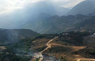 Hatay’da orman yangını