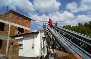 Havran’da çatıda mahsur kalan köpeği itfaiye...