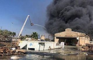 Hayfa Limanı yakınlarında korkutan yangın