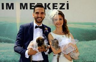 Hayvan barınağında ’Evet’ dediler