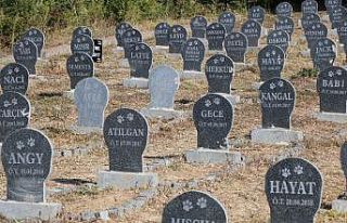 “Hayvan Mezarlığı” ile halk sağlığı korunmaya...