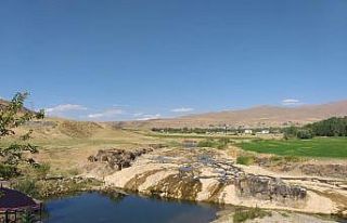 İnci kefalinin yaşamı tehlike altında