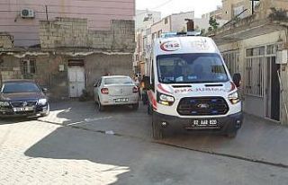 İncir ağacından düşen kadın yaralandı