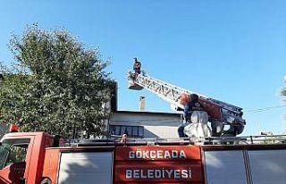 İtfaiyeden karga operasyonu