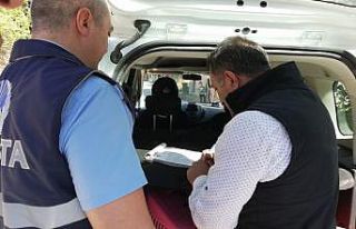 İzinsiz ağaç kesimine zabıta engeli