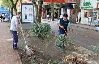 İzmit Yürüyüş Yolu, her gün temizleniyor