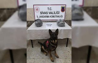 Jandarma kaçakçılara geçit vermedi