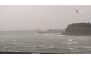 Japonya'da Tapah Tayfunu: 30 yaralı