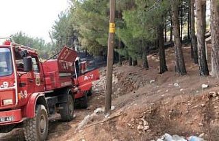 Kahramanmaraş’ta zeytinlik alanda yangın